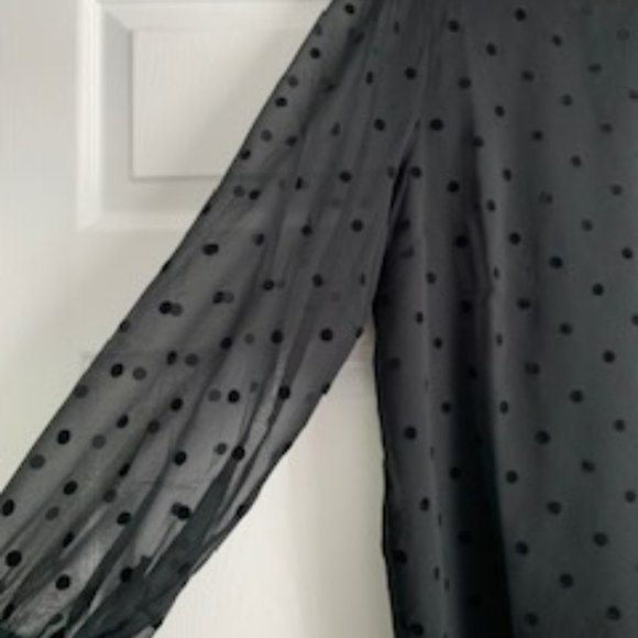 J Crew Sheer Chiffon Dot Sleeve Flock Top - Picture 3 of 5